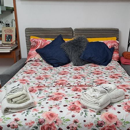Flat City Center Porta Susa, Free Parking Wifii Smart Tv Sky 토리노 외부 사진